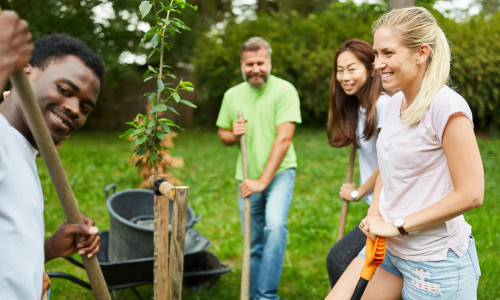 B² - Basisqualifizierung & Berufshilfe
